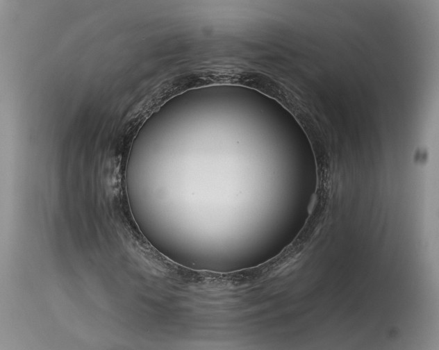 X0000113620818200909251204