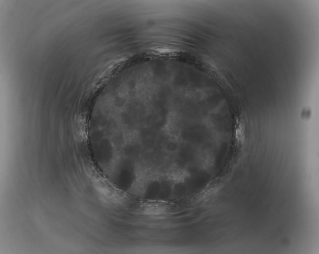 X0000113620819200909251204