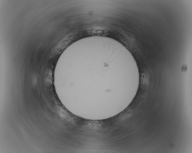 X0000113620820200909251204