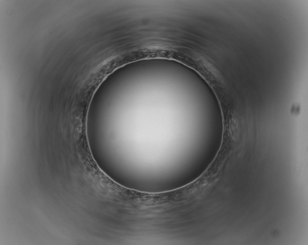 X0000113620821200909251204