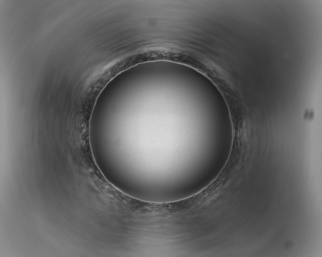 X0000113620822200909251204