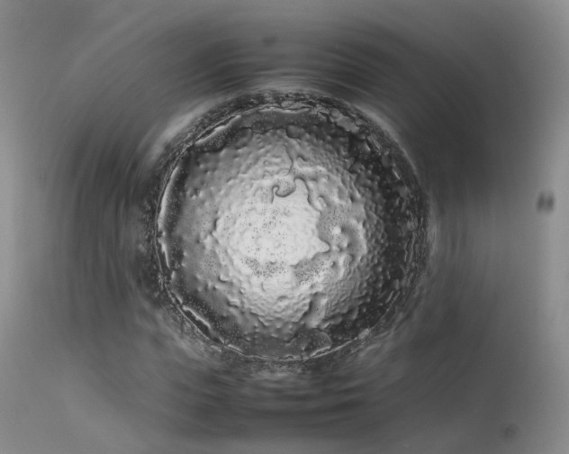 X0000113620823200909251204