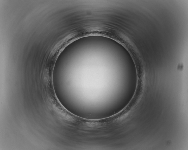 X0000113620825200909251204