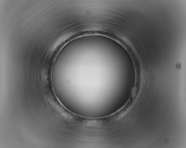 X0000113620826200909251204