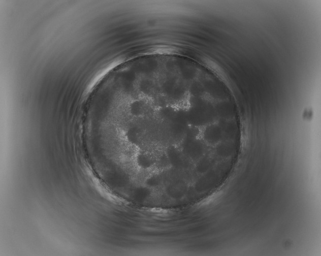 X0000113620827200909251204