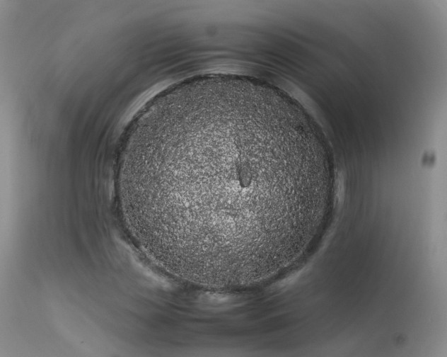 X0000113620829200909251204