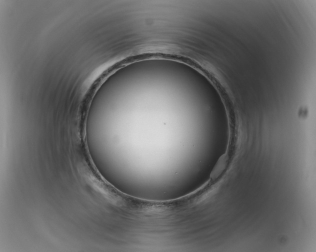 X0000113620830200909251204