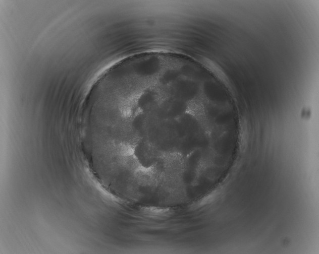 X0000113620831200909251204