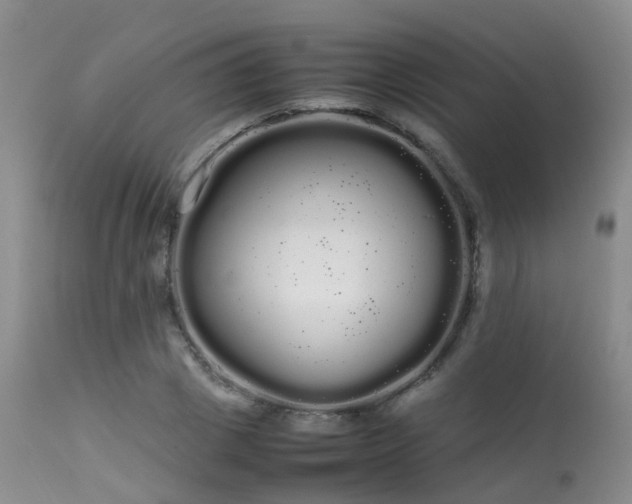 X0000113620833200909251204