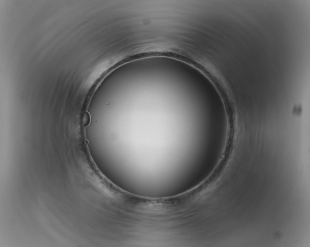 X0000113620834200909251204