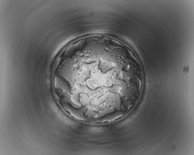 X0000113620835200909251204