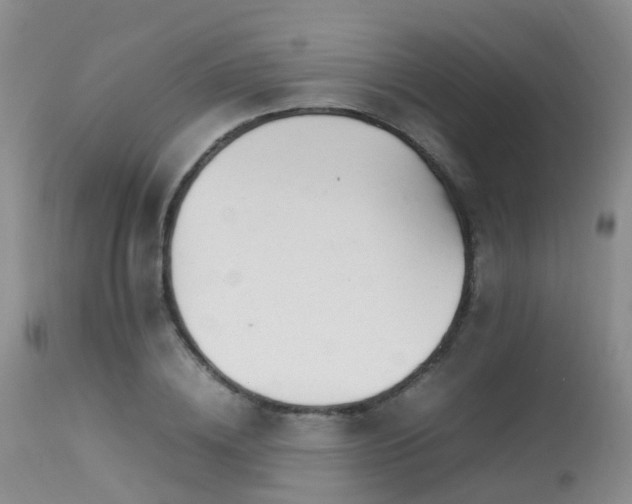 X0000113620836200909251204