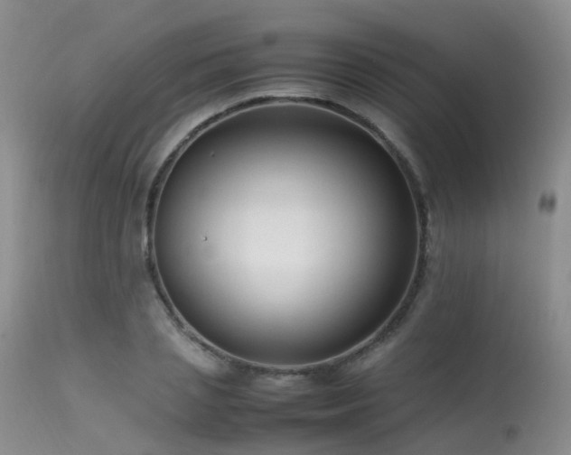 X0000113620837200909251204