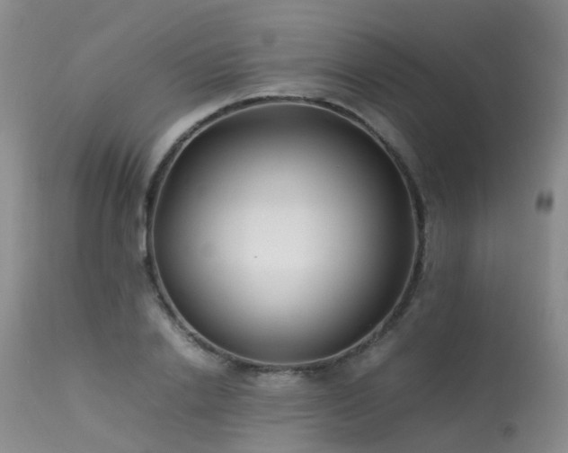 X0000113620838200909251204