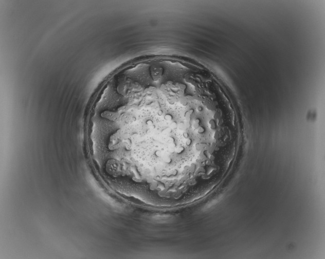 X0000113620839200909251204