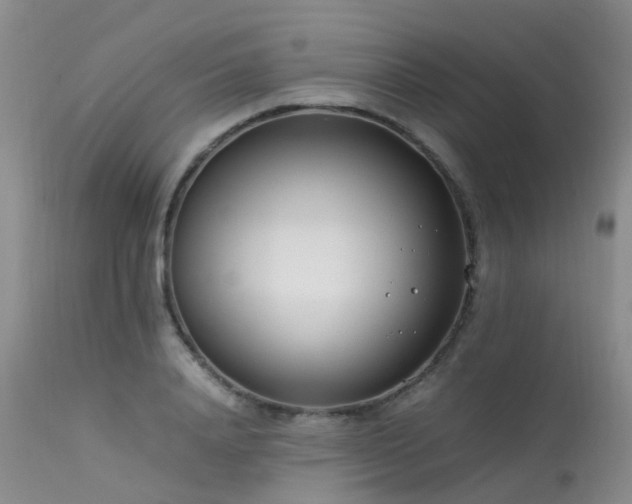 X0000113620840200909251204