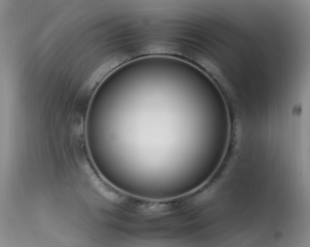 X0000113620841200909251205