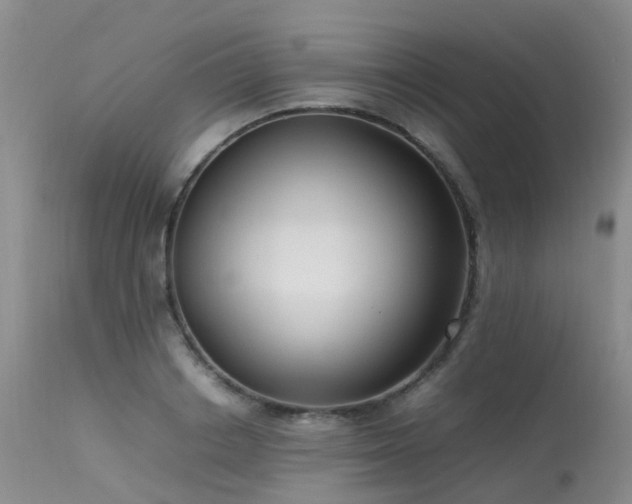 X0000113620842200909251205