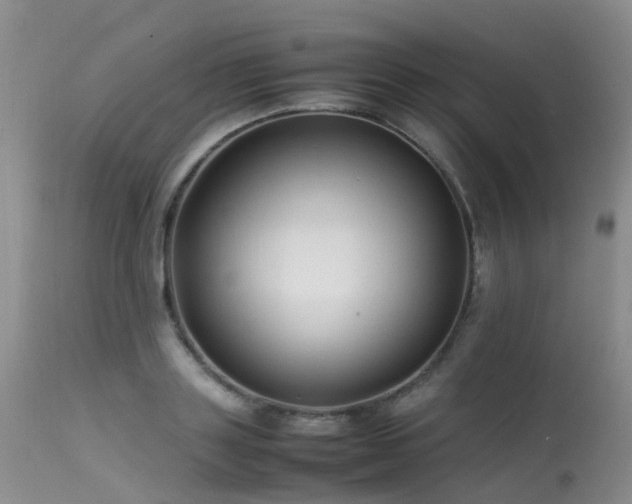 X0000113620843200909251205