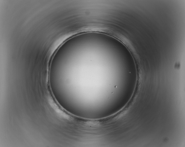 X0000113620844200909251205