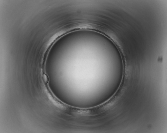 X0000113620845200909251205