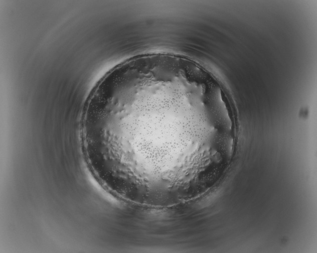 X0000113620847200909251205