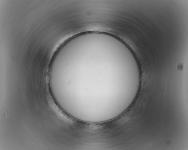 X0000113620848200909251205