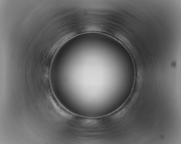 X0000113620849200909251205