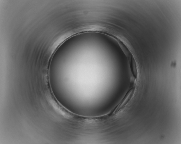 X0000113620850200909251205