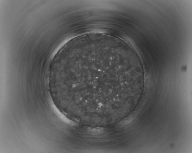 X0000113620851200909251205