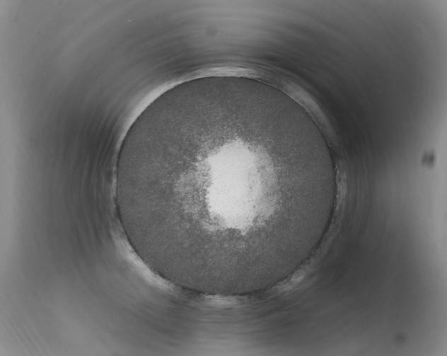 X0000113620852200909251205