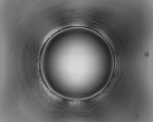 X0000113620853200909251205