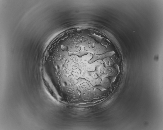 X0000113620855200909251205