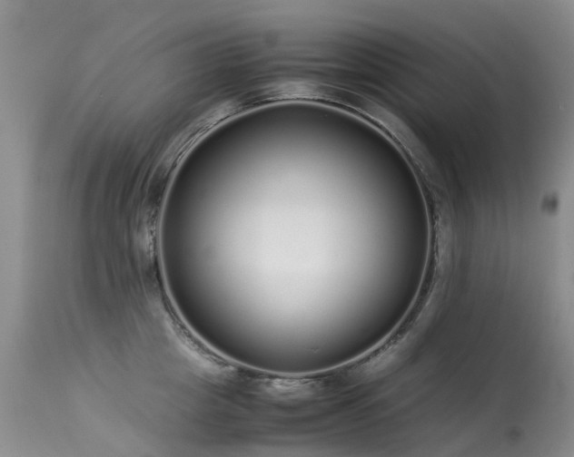 X0000113620857200909251205