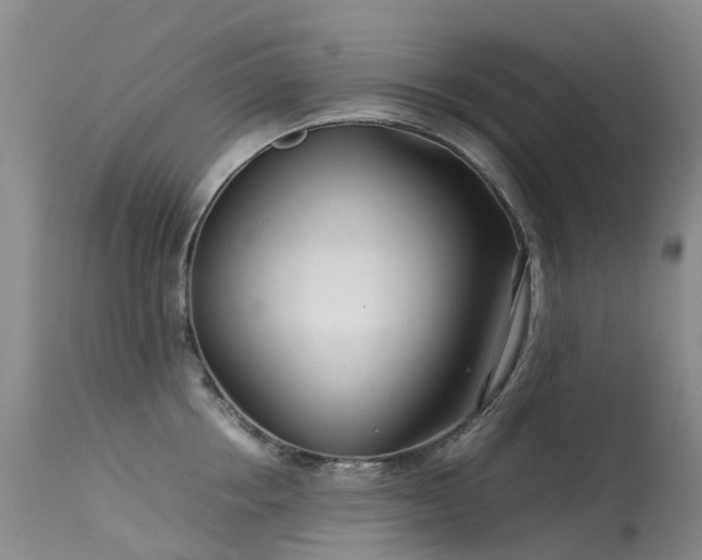 X0000113620858200909251205