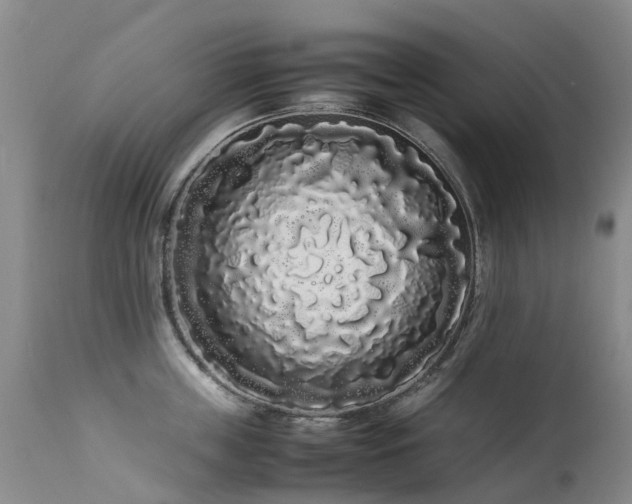 X0000113620859200909251205