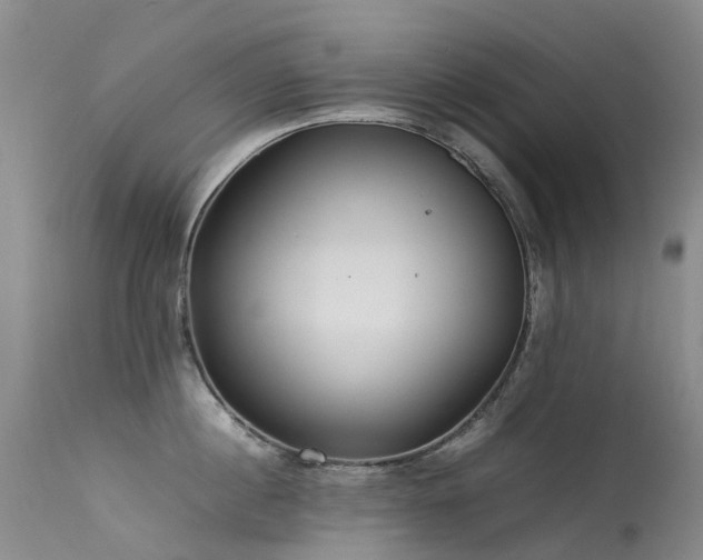 X0000113620860200909251205