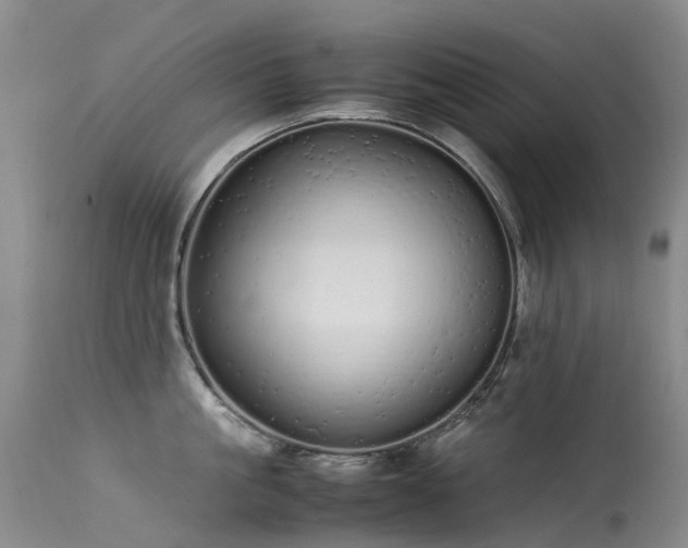 X0000113620861200909251205