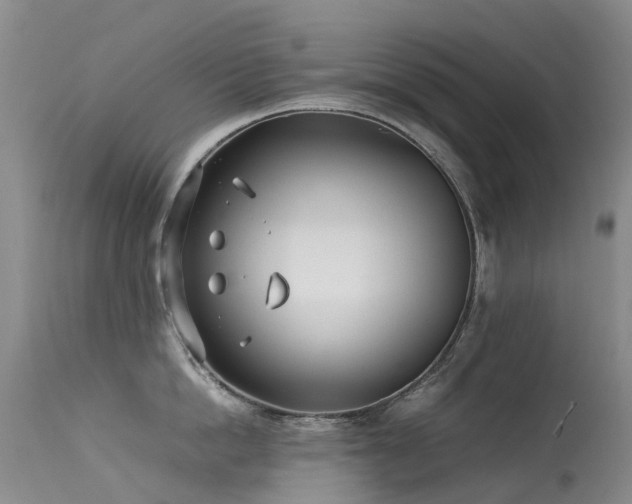 X0000113620862200909251205