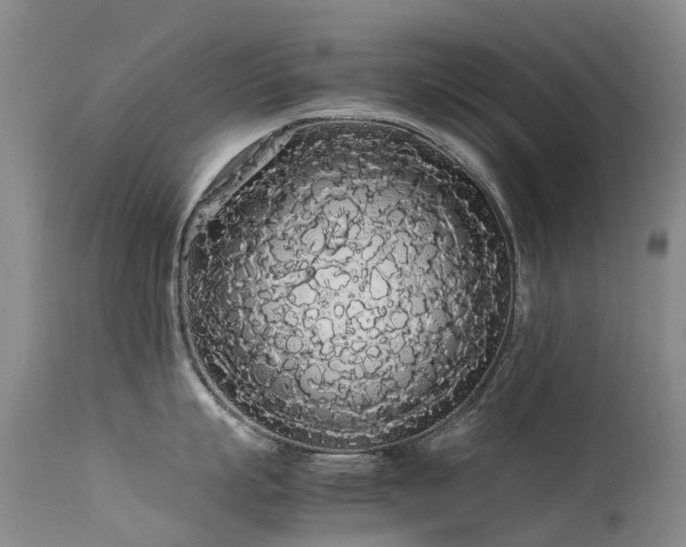 X0000113620863200909251205