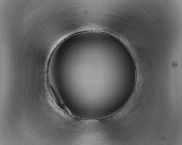 X0000113620864200909251205