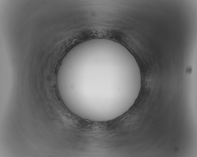 X0000113620865200909251204