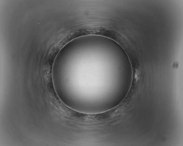 X0000113620867200909251204