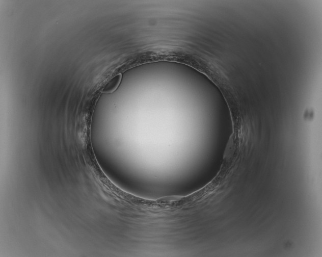 X0000113620868200909251204