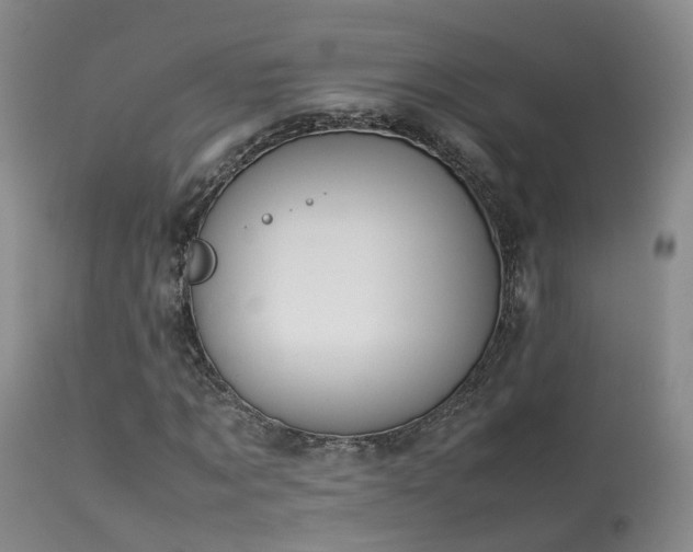 X0000113620869200909251204