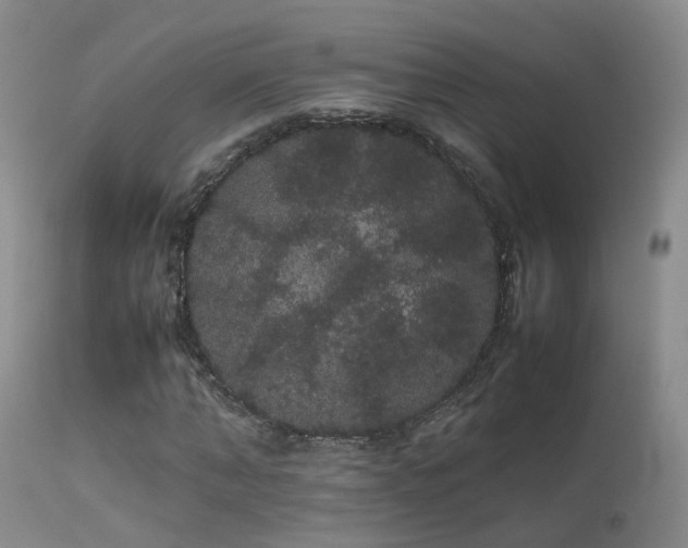 X0000113620870200909251204