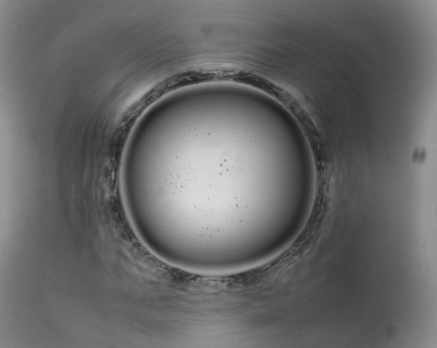 X0000113620871200909251204