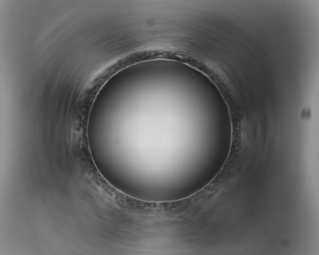 X0000113620872200909251204