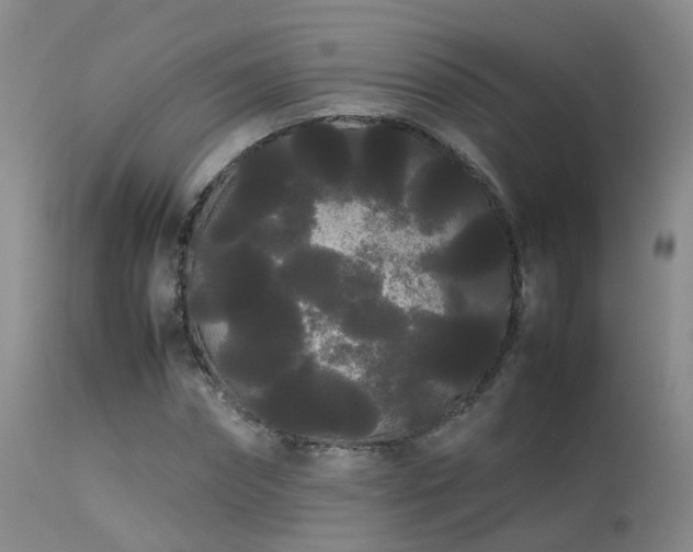 X0000113620874200909251204