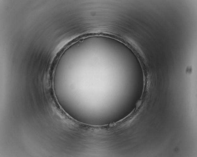 X0000113620876200909251204